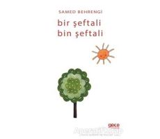 Bir Şeftali Bin Şeftali - Samed Behrengi - Gece Kitaplığı