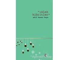 Islak Kibritler - Akif Hasan Kaya - İz Yayıncılık
