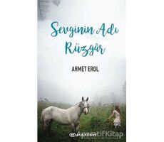 Sevginin Adı Rüzgar - Ahmet Erol - Epsilon Yayınevi