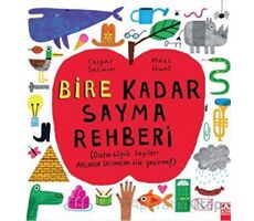 Bire Kadar Sayma Rehberi - Caspar Salmon - Altın Kitaplar