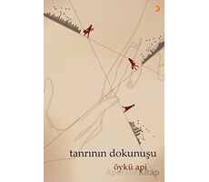 Tanrının Dokunuşu - Öykü Api - Cinius Yayınları