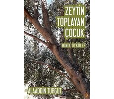 Zeytin Toplayan Çocuk - Alaaddin Turgut - Cinius Yayınları