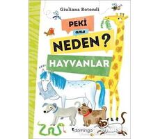 Peki Ama Neden? - Hayvanlar - Giuliana Rotondi - Domingo Yayınevi