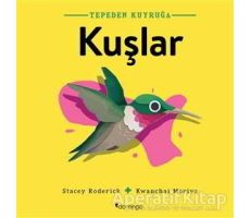 Kuşlar - Tepeden Kuyruğa - Stacey Roderick - Domingo Yayınevi