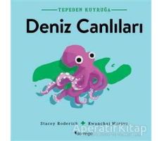 Deniz Canlıları - Tepeden Kuyruğa - Stacey Roderick - Domingo Yayınevi