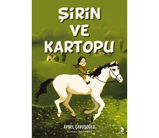 Şirin ve Kartopu - Aysel Çavuşoğlu - Destek Yayınları