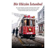 Bir Hüzün İstanbul - Turgay Apak - Cinius Yayınları