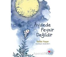 Aydede Peynir Değildir - Selda Yaşar - Can Çocuk Yayınları