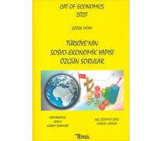 Türkiyenin Sosyo-Ekonomik Yapısı Özgün Sorular - Gözde Oktay - Temsil Kitap