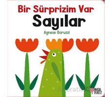 Bir Sürprizim Var - Sayılar - Agnese Baruzzi - Masalperest