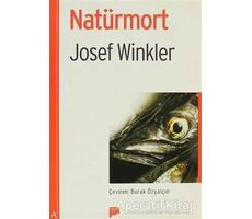 Natürmort - Josef Winkler - Pan Yayıncılık