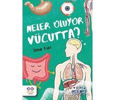 Neler Oluyor Vücutta? – Cezve Ansiklopedi - İlknur Kurt - Cezve Çocuk