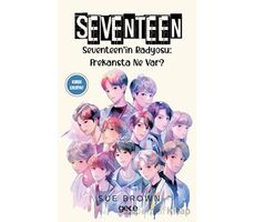 Seventeen - Sue Brown - Gece Kitaplığı