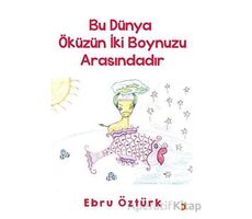 Bu Dünya Öküzün İki Boynuzu Arasındadır - Ebru Öztürk - Cinius Yayınları