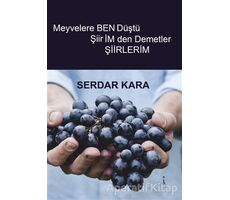 Meyvelere Ben Düştü Şiirimden Demetler - Serdar Kara - İkinci Adam Yayınları