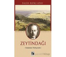 Zeytindağı - Günümüz Türkçesiyle - Falih Rıfkı Atay - Pozitif Yayınları