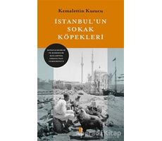 İstanbulun Sokak Köğpekleri - Kemalettin Kuzucu - Kapı Yayınları