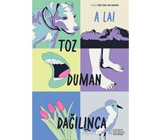 Toz Duman Dağılınca - Alai - Everest Yayınları
