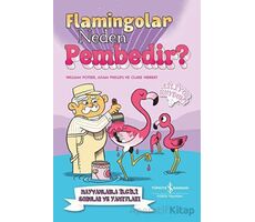 Flamingolar Neden Pembedir? Hayvanlarla İlgili Sorular ve Yanıtları