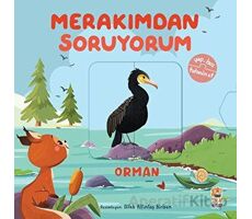 Merakımdan Soruyorum - Orman - Kolektif - Sincap Kitap