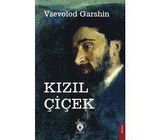 Kızıl Çiçek - Vsevolod Garshin - Dorlion Yayınları
