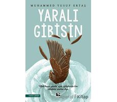 Yaralı Gibisin - Muhammed Yusuf Ertaş - Çınaraltı Yayınları