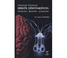 Psikolojik Yönleriyle Erektil Disfonksiyon - Yüksel Demirel - Akademisyen Kitabevi