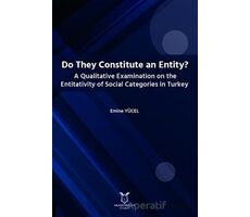 Do They Constitute an Entity? A Qualitative Examination on the Entitativity of Social Categories in