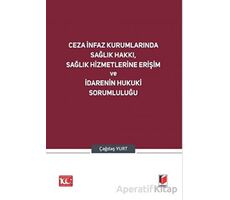 Ceza İnfaz Kurumlarında Sağlık Hakkı, Sağlık Hizmetlerine Erişim ve İdarenin Hukuki Sorumluluğu