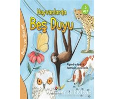 Hayvanlarda Beş Duyu - Bilim ve Merak - Alejandro Algarra - TÜBİTAK Yayınları