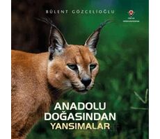 Anadolu Doğasından Yansımalar - Bülent Gözcelioğlu - TÜBİTAK Yayınları