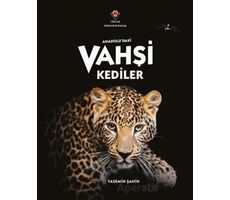 Anadoludaki Vahşi Kediler - Yasemin Şahin - TÜBİTAK Yayınları