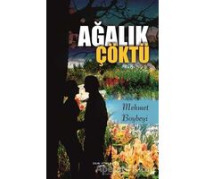 Ağalık Çöktü - Mehmet Boybeyi - Sokak Kitapları Yayınları