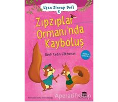 Zıpzıplar Ormanı’nda Kayboluş - Nehir Aydın Gökduman - Rönesans Yayınları