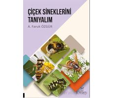 Çiçek Sineklerini Tanıyalım - A. Faruk Özgür - Akademisyen Kitabevi