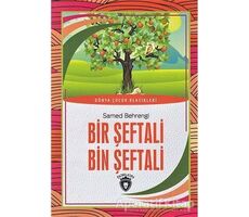 Bir Şeftali Bin Şeftali - Samed Behrengi - Dorlion Yayınları