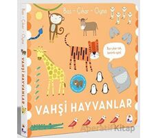 Bas – Çıkar – Oyna Vahşi Hayvanlar - Sally Payne - İndigo Çocuk