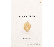 Dilimde Tüh Bitti - Recep Karaaslan - Cinius Yayınları