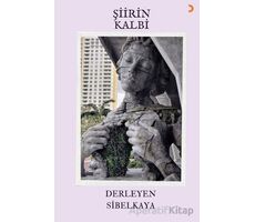 Şiirin Kalbi - Sibel Kaya - Cinius Yayınları