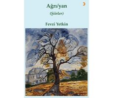 Ağrı / yan - Fevzi Yetkin - Cinius Yayınları