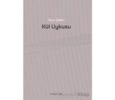 Kül Uykusu - Onur Şahin - Everest Yayınları