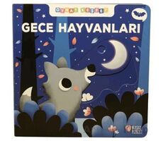 Gece Hayvanları - Oynat Keşfet - Kolektif - Masalperest