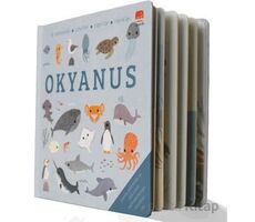 Say Bul Eğlen Okyanus - Kollektif - Uçan Fil Yayınları