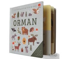Say Bul Eğlen Orman - Kollektif - Uçan Fil Yayınları