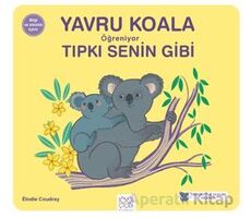 Yavru Koala Öğreniyor Tıpkı Senin Gibi - Elodie Coudray - 1001 Çiçek Kitaplar