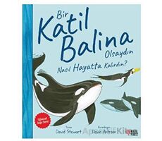 Bir Katil Balina Olsaydın Nasıl Hayatta Kalırdın? - David Stewart - Masalperest
