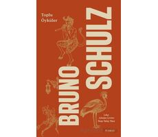 Bruno Schulz Toplu Öyküler - Bruno Schulz - Everest Yayınları