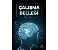 Çalışma Belleği - Çağla Özgür Yılmaz - Akademisyen Kitabevi