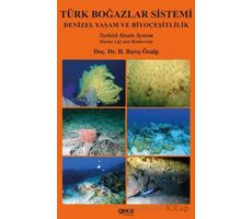 Türk Boğazlar Sistemi - H. Barış Özalp - Gece Kitaplığı