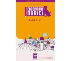 Edebiyatın Suriçi - Taner Ay - Ötüken Neşriyat